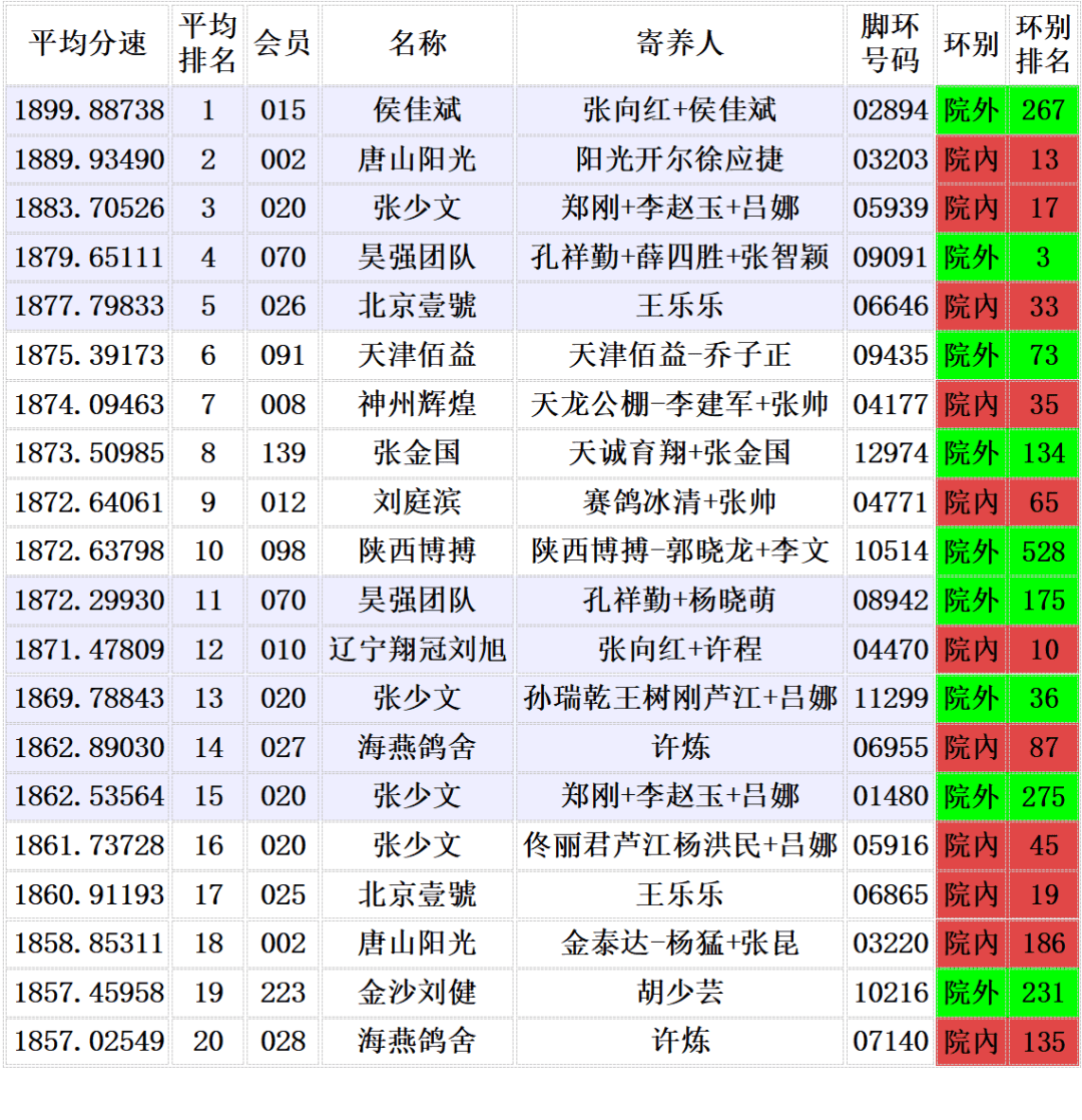 「鸽讯」七年来最强记录!天津开创寄养棚飞出2222米惊天分速