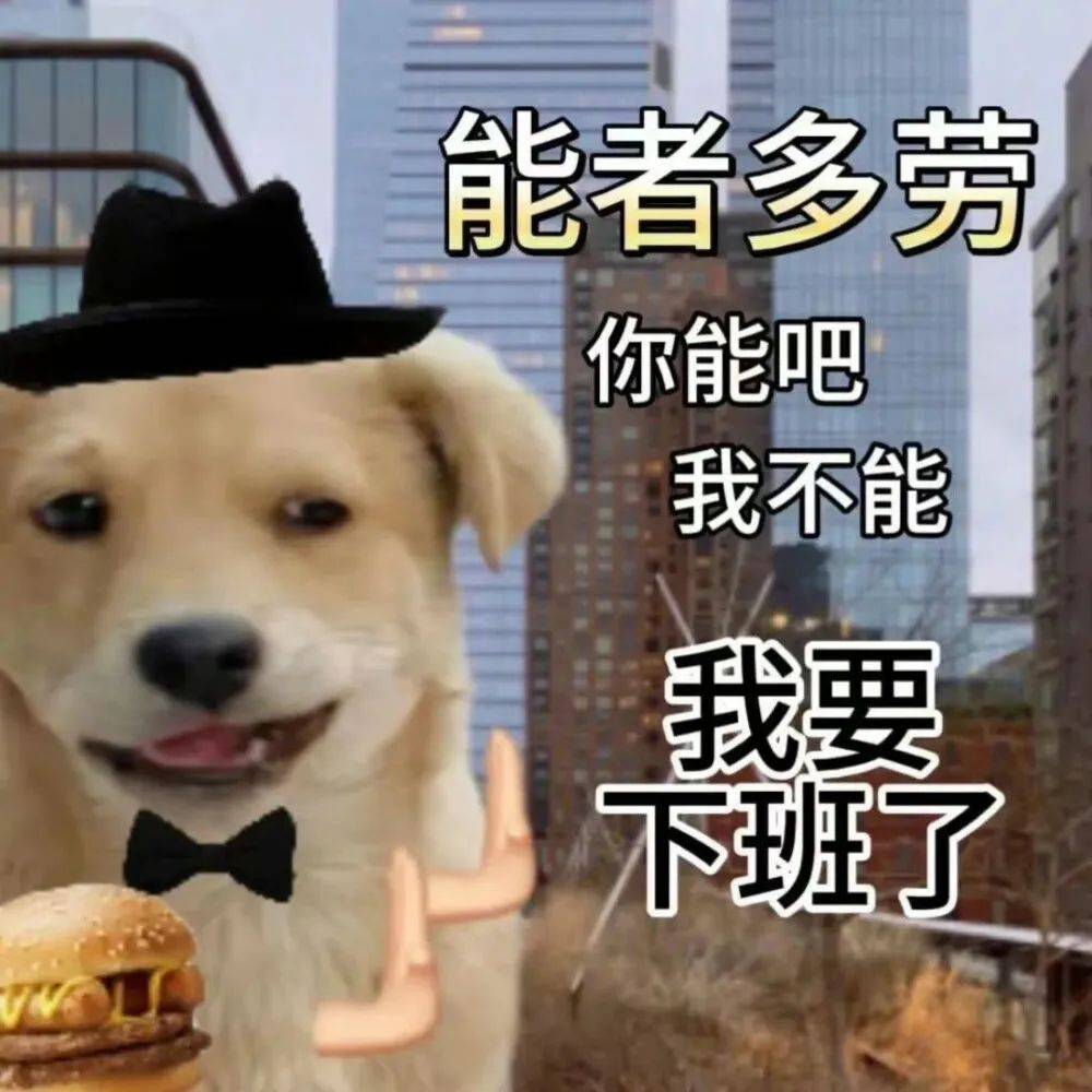 头像表情包197