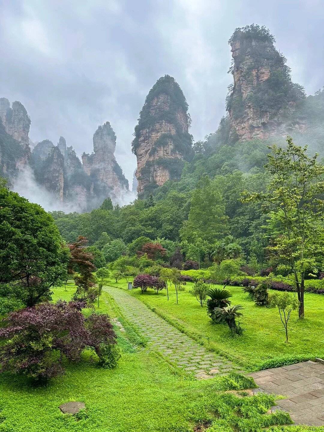湖南张家界5日游多少钱 ,精品攻略,让你畅玩旅游!
