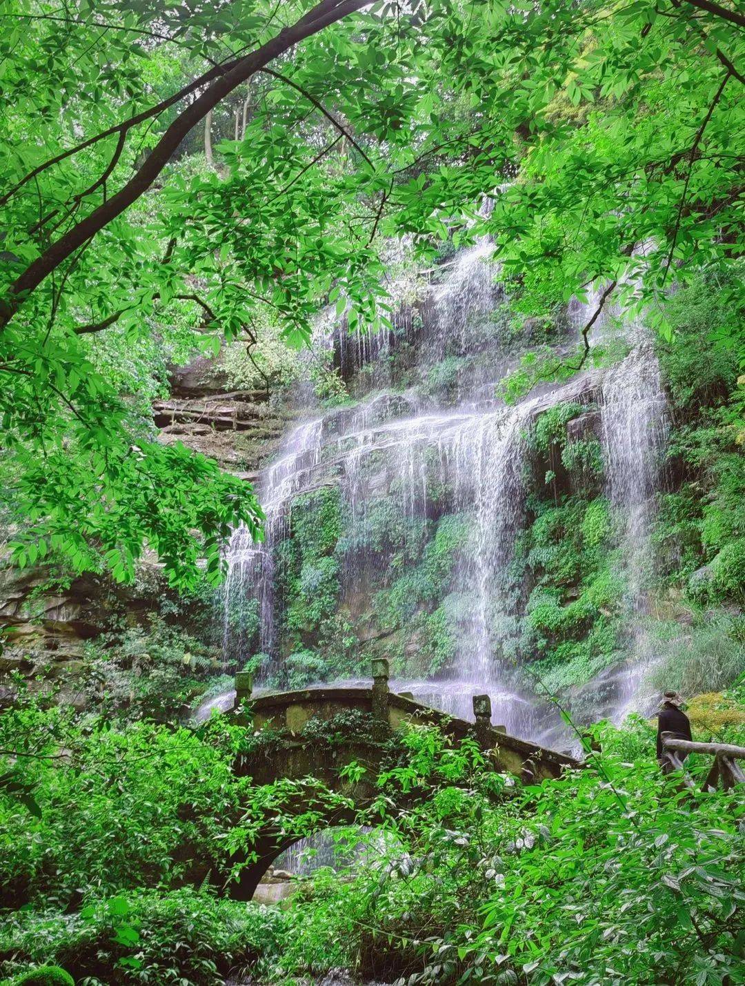 周末去这里看萤火虫→_天台山_瀑布_云海