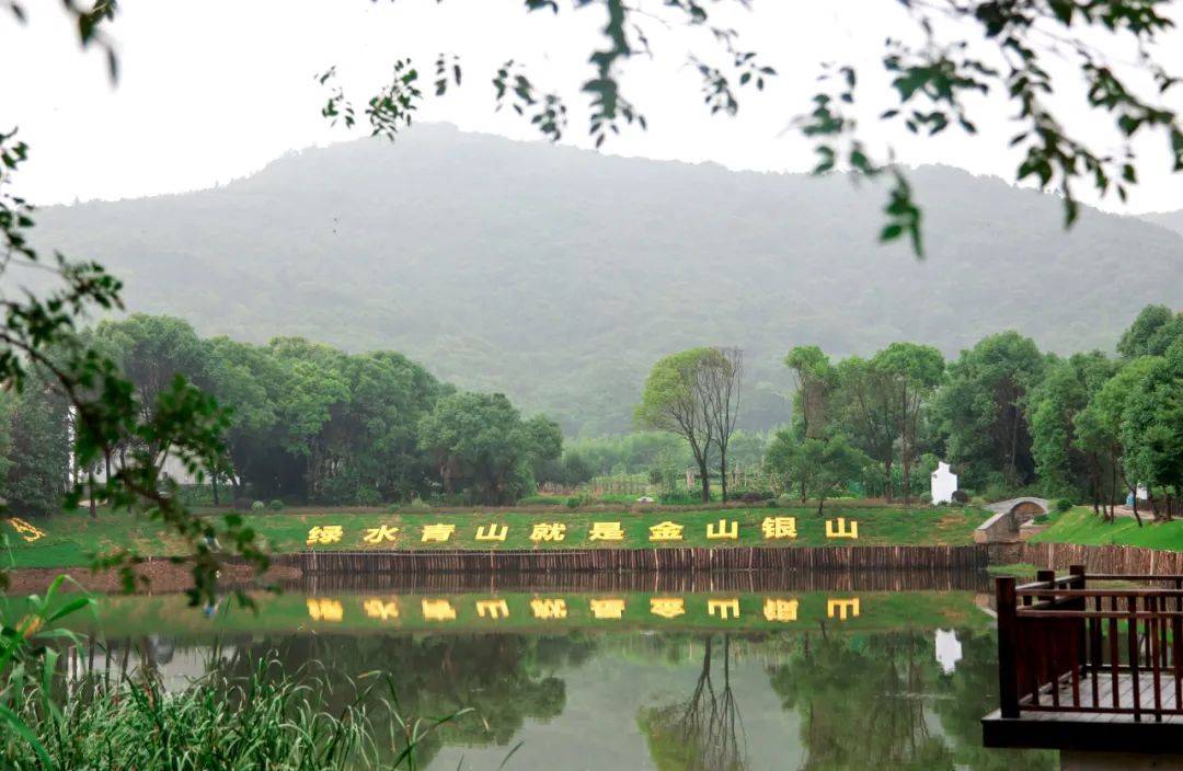 "三清三治"专项行动基层经验实录 | 滨湖区胡埭镇