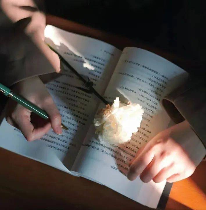 听说世界是个巨大的草台班子?我想说