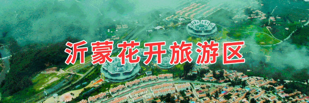 她们的节日 | 沂蒙花开,感恩与爱的旅程,转发免门票!