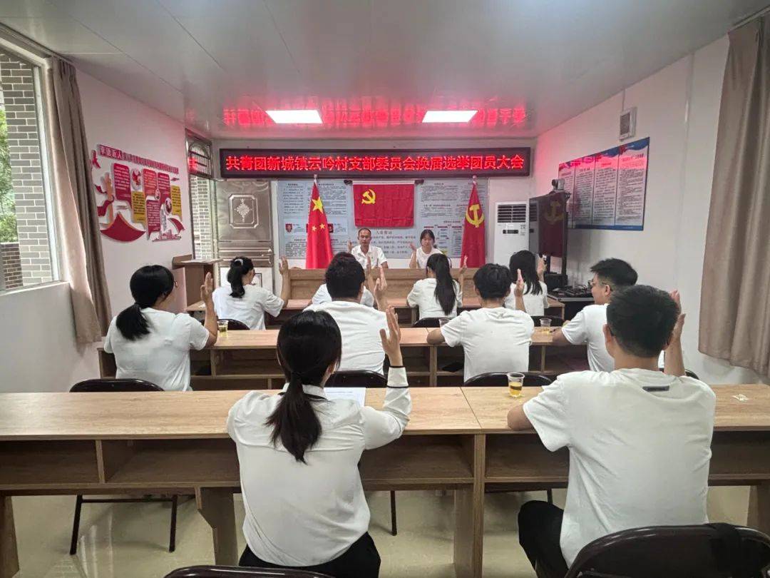 新城镇云吟村团支部圆满完成换届选举工作!