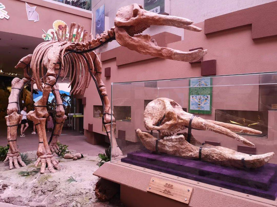 2024国际博物馆日活动正式发布!西安国家一级博物馆 1