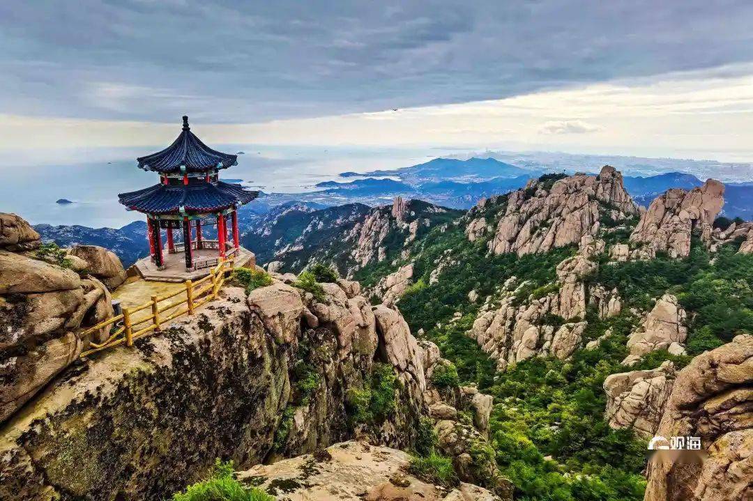 免费,半价!莱西人速冲