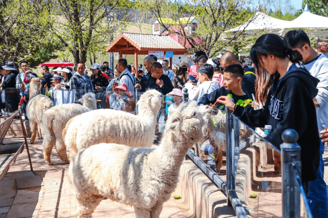 东胜文旅福利礼包来啦