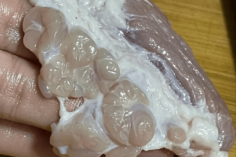 这种肉类往往来自病态或用药过量的动物,长时间食用会极大地增加患癌