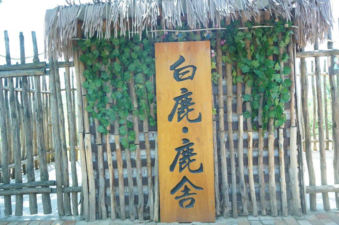 白鹿原影视城 探寻关中民俗民风——西安高新第五小学开展研学旅行