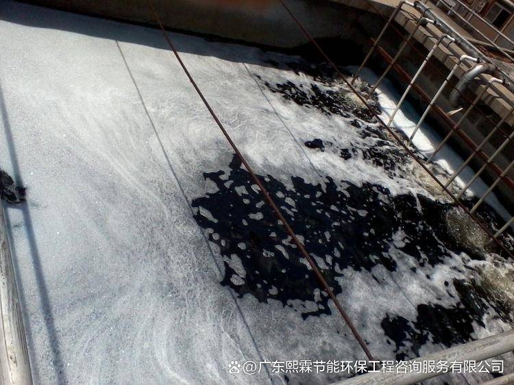 船舶生活污水处理方案