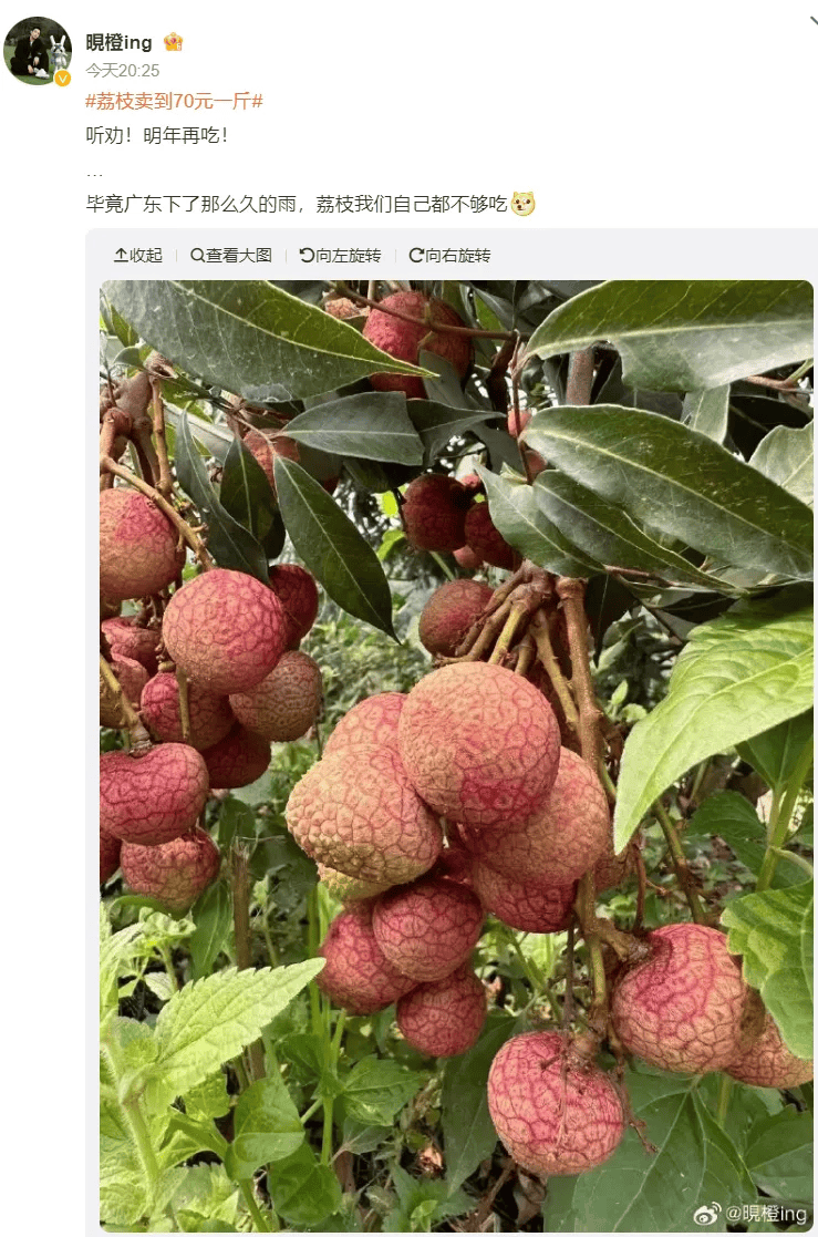 荔枝_产量_天气