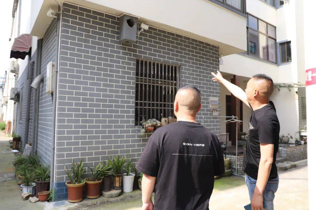 呆萌又可爱!天台乡村的老烟囱迎来"特殊的村民"30年