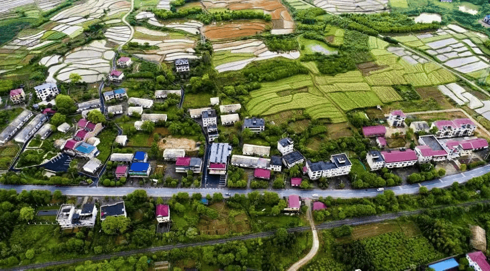 信宜市白石镇扶龙村图片