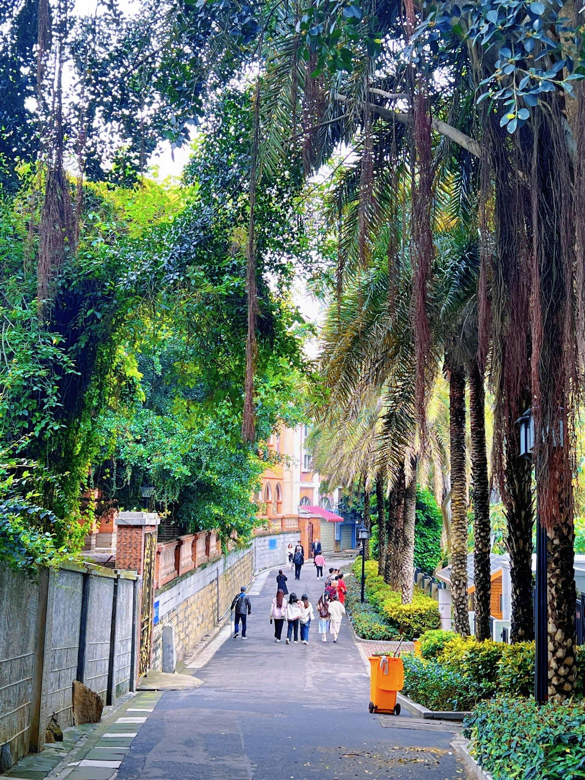 禹城至厦门旅游路线,自由行攻略 ,最佳攻略(景点 线路 费用 美食),看