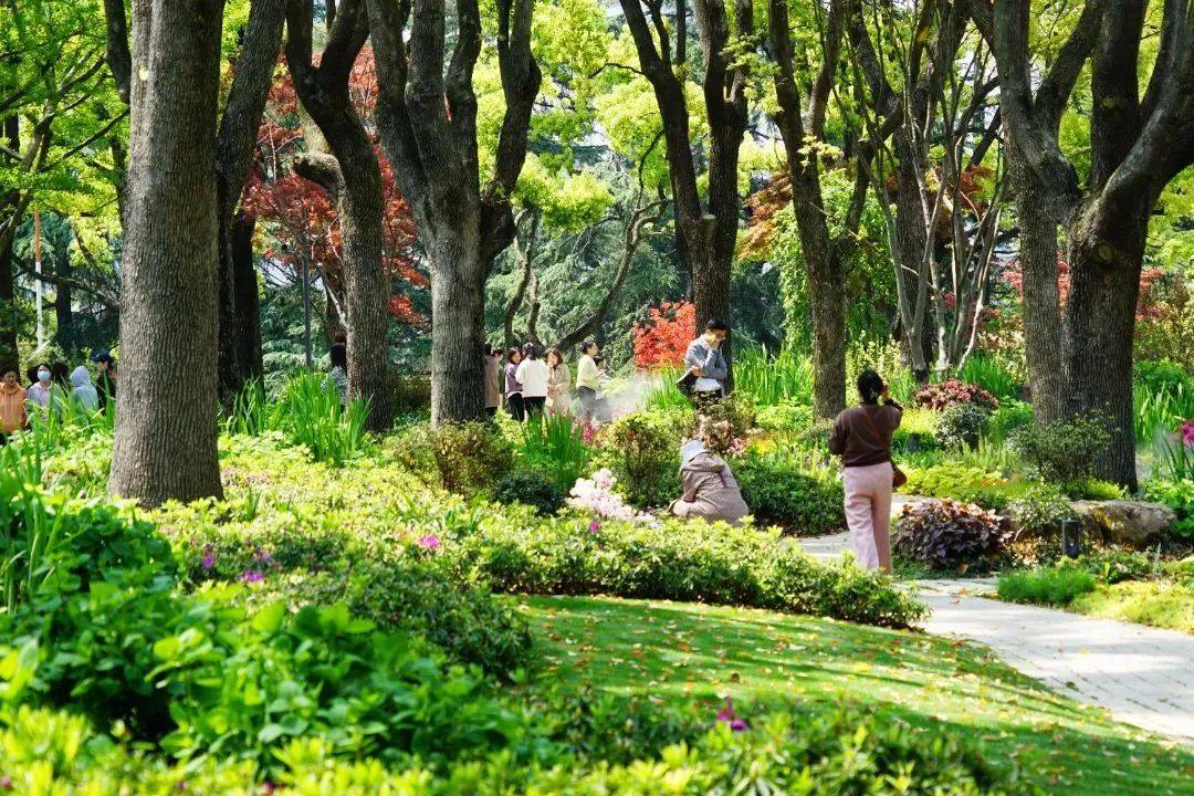 工作暂停,中午去公园wildeat一下!