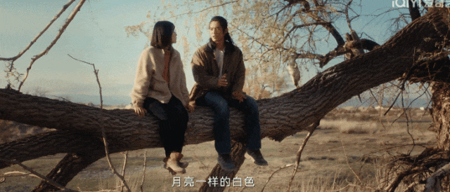 入围戛纳,高分收官!电影质感堪比《航拍中国》,国产剧这回长脸了