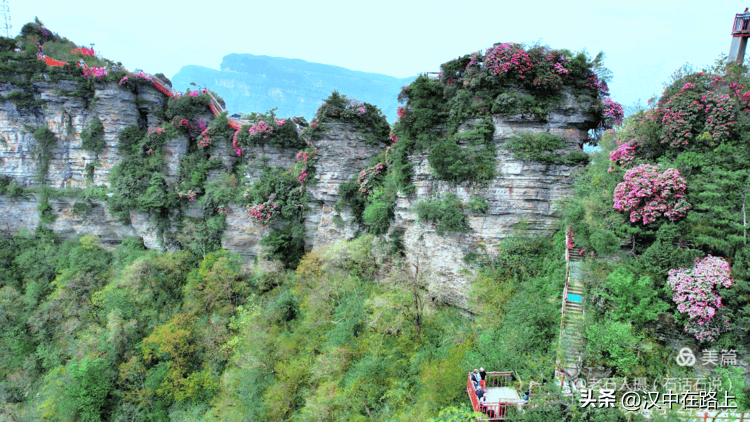 漫山遍野的杜鹃花开,姹紫嫣红盛放在峭壁之上,呈现出"窥似浮焰蒸霞蔚