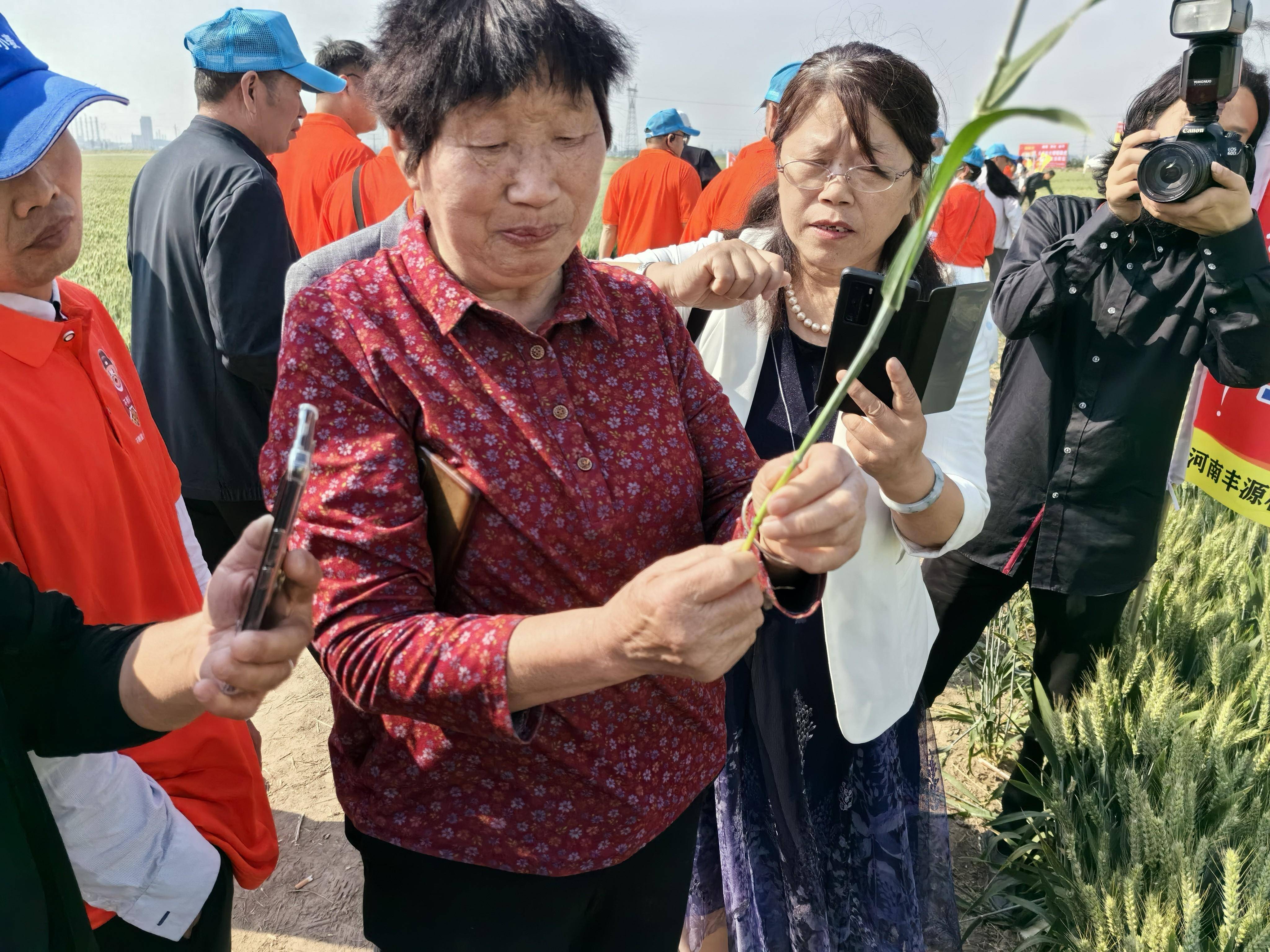 通讯员 余晓建5月9日,王桂凤要请"客",客人来自河南,安徽,江苏,陕西