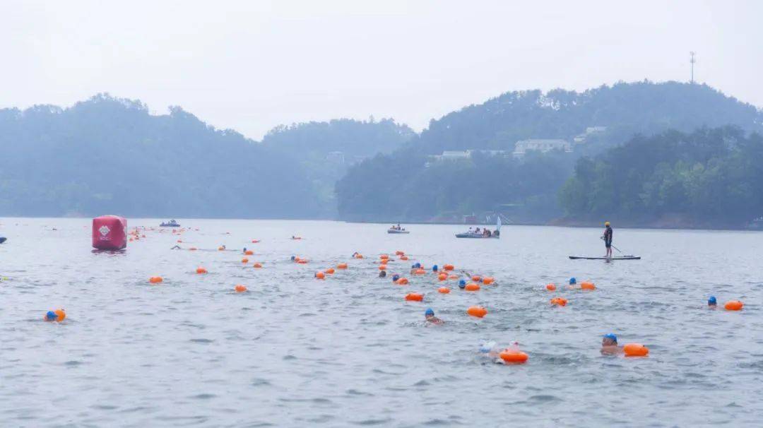 今日14:00报名正式开启|2024千岛湖公开水域游泳公开赛
