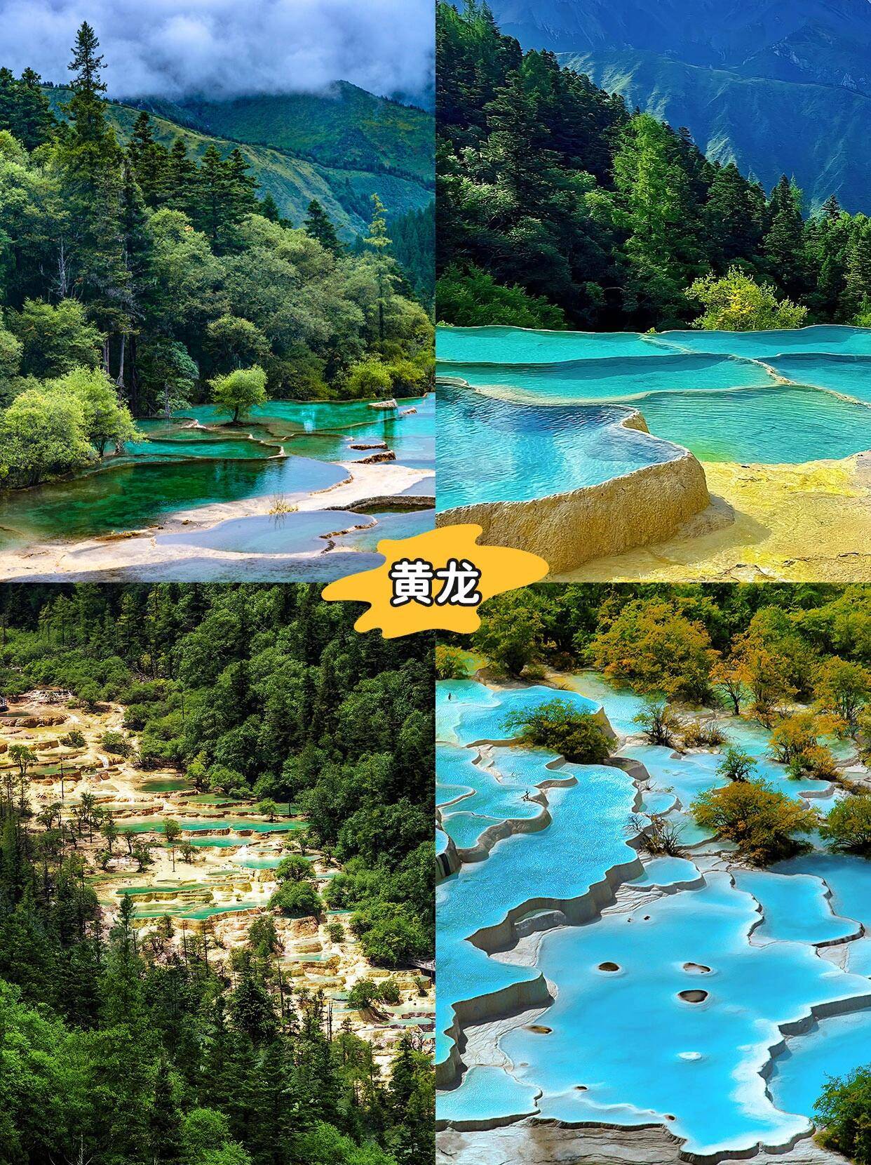 个旧至成都旅游团价格,费用多少 ,懒人方式玩遍网红景区,请务必收藏哦