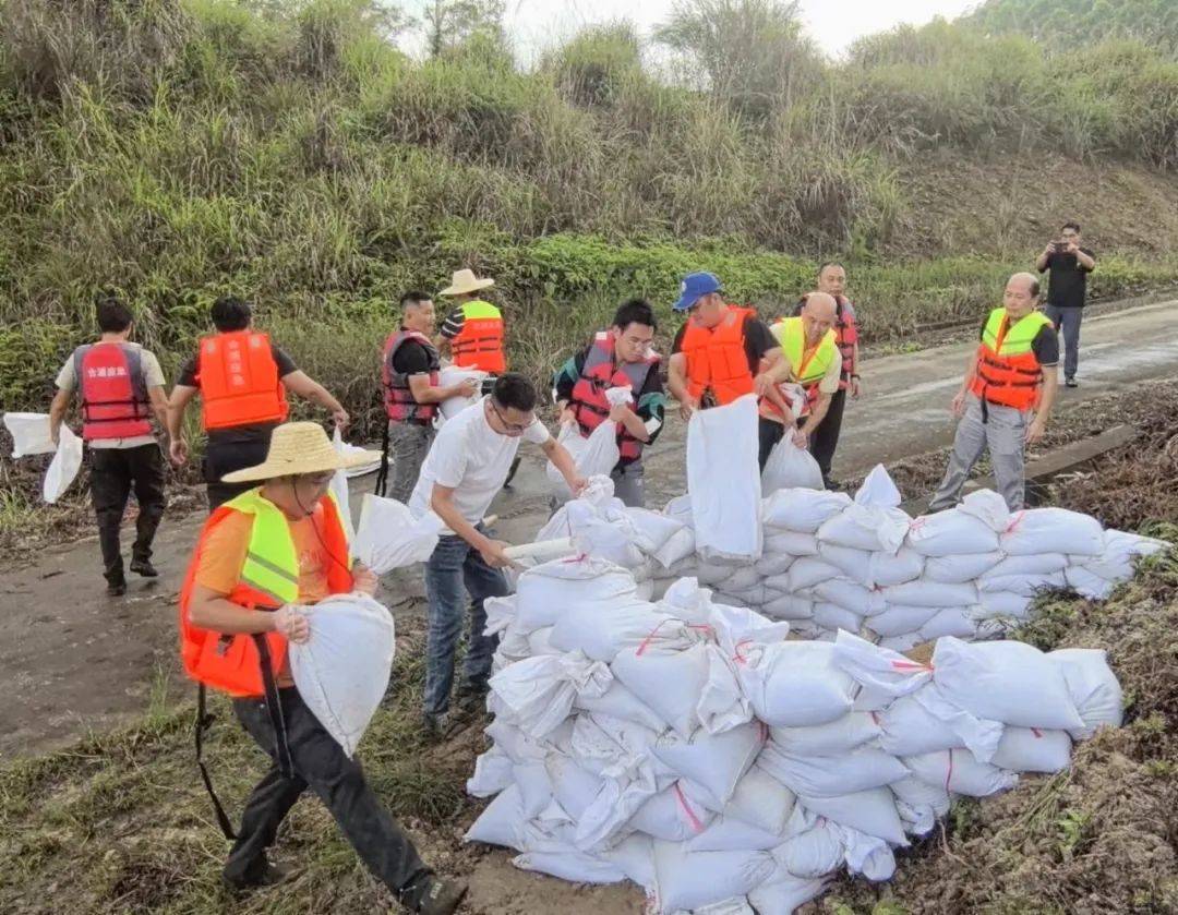 北海市洪潮江水库工程管理局,星岛湖镇人民政府,乌家镇人民政府联合