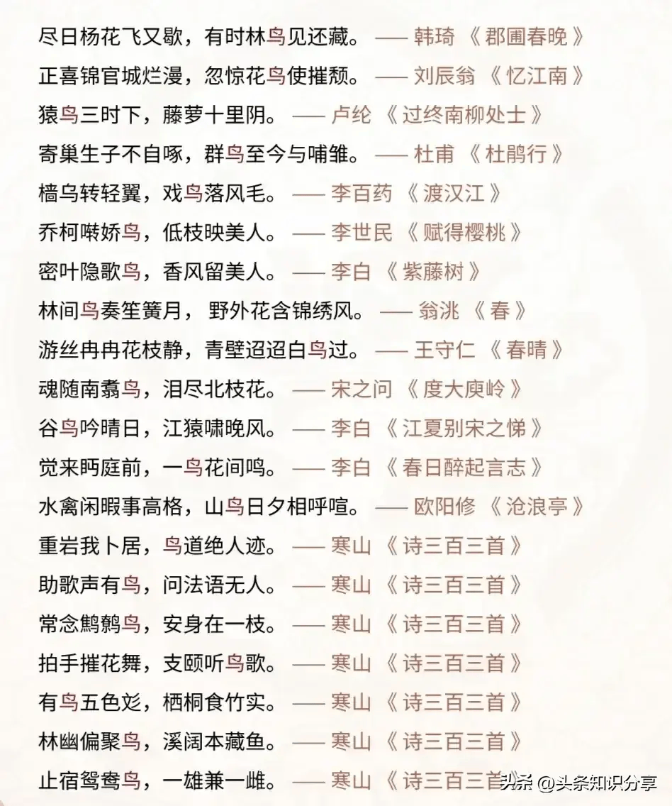 关于鸟的诗图片