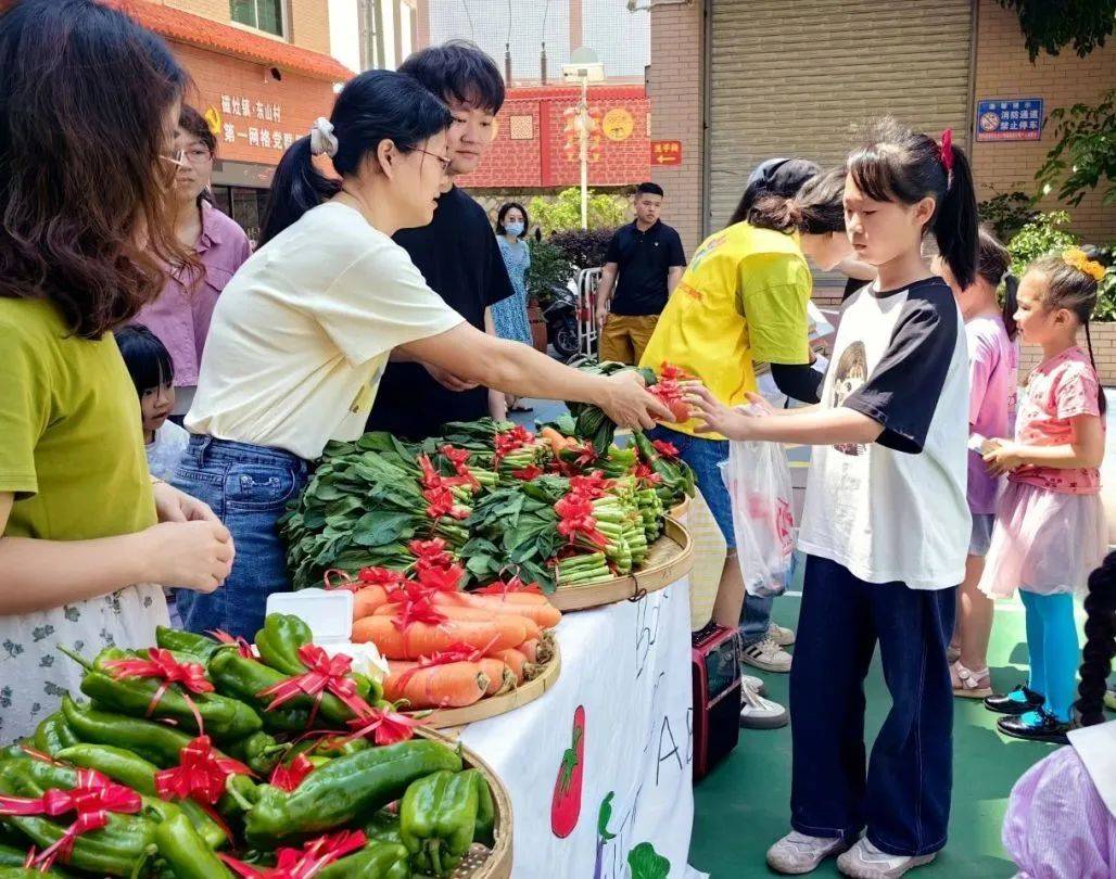 精彩回顾 晋江市新时代文明实践四月活动风采展示