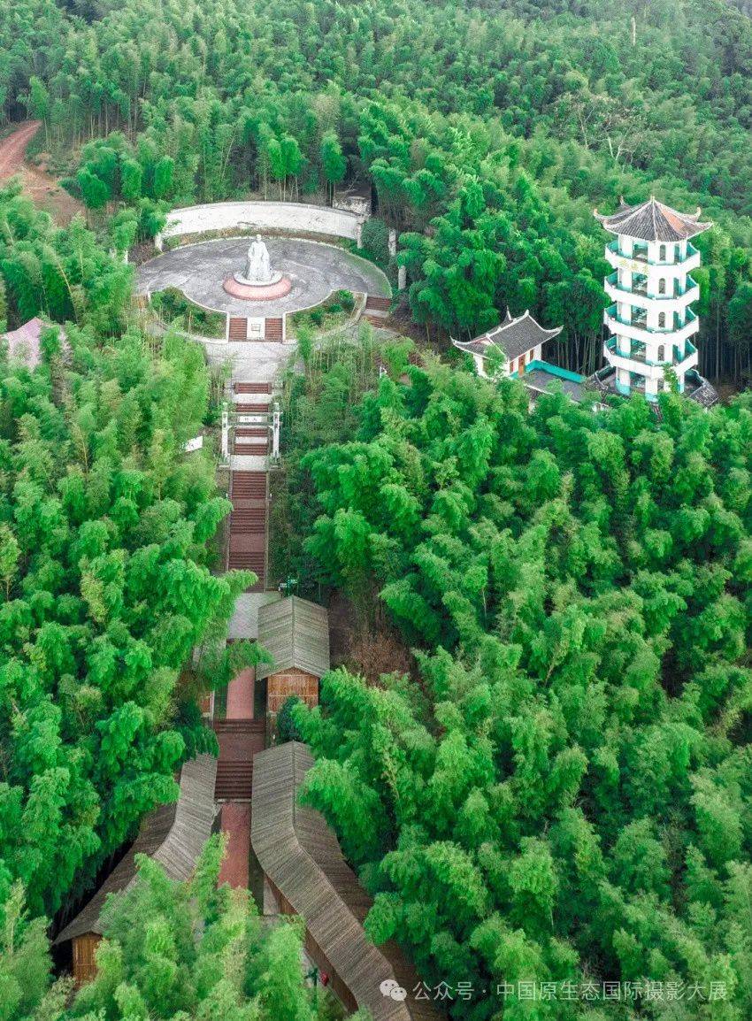 摄贵州 | 这个夏天,去赤水竹海感受绿意盎然