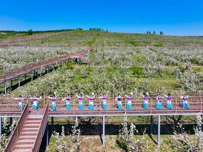 这些赏花地已经美到next level了!