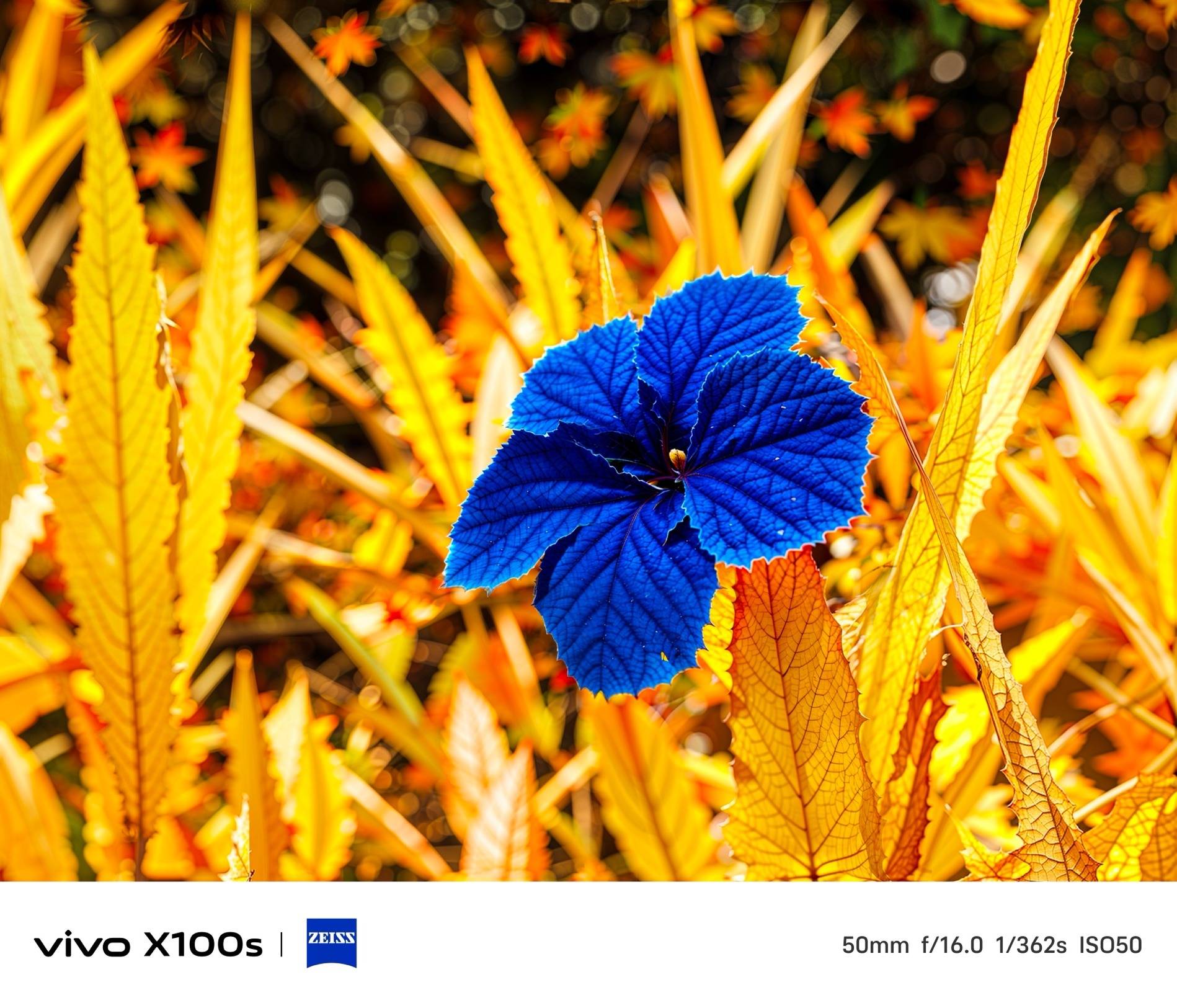 手机夜间模式怎么设置vivo_夜间模式vivo在哪_vivo手机怎么调夜间模式