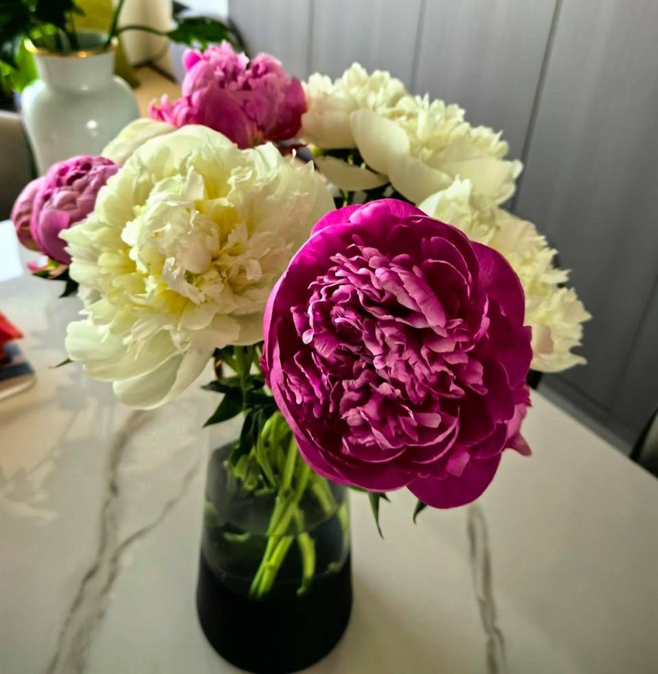 而应该说,正是因为有了盒马的背书,才让郝海雷更有底气去做这样的事.