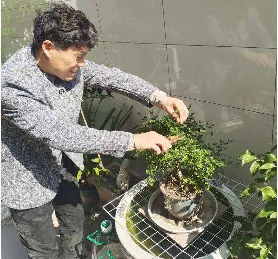 扬州:老年大学里的银发"追梦人"