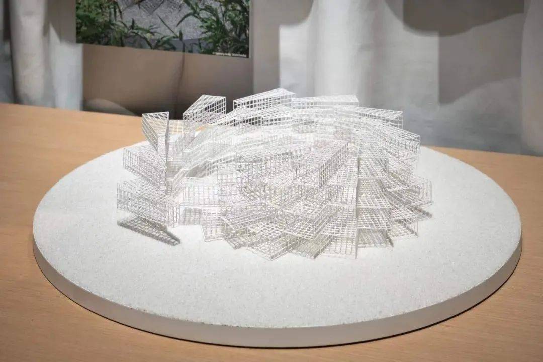 第六届艺术与科学国际作品展:作品导览(四)