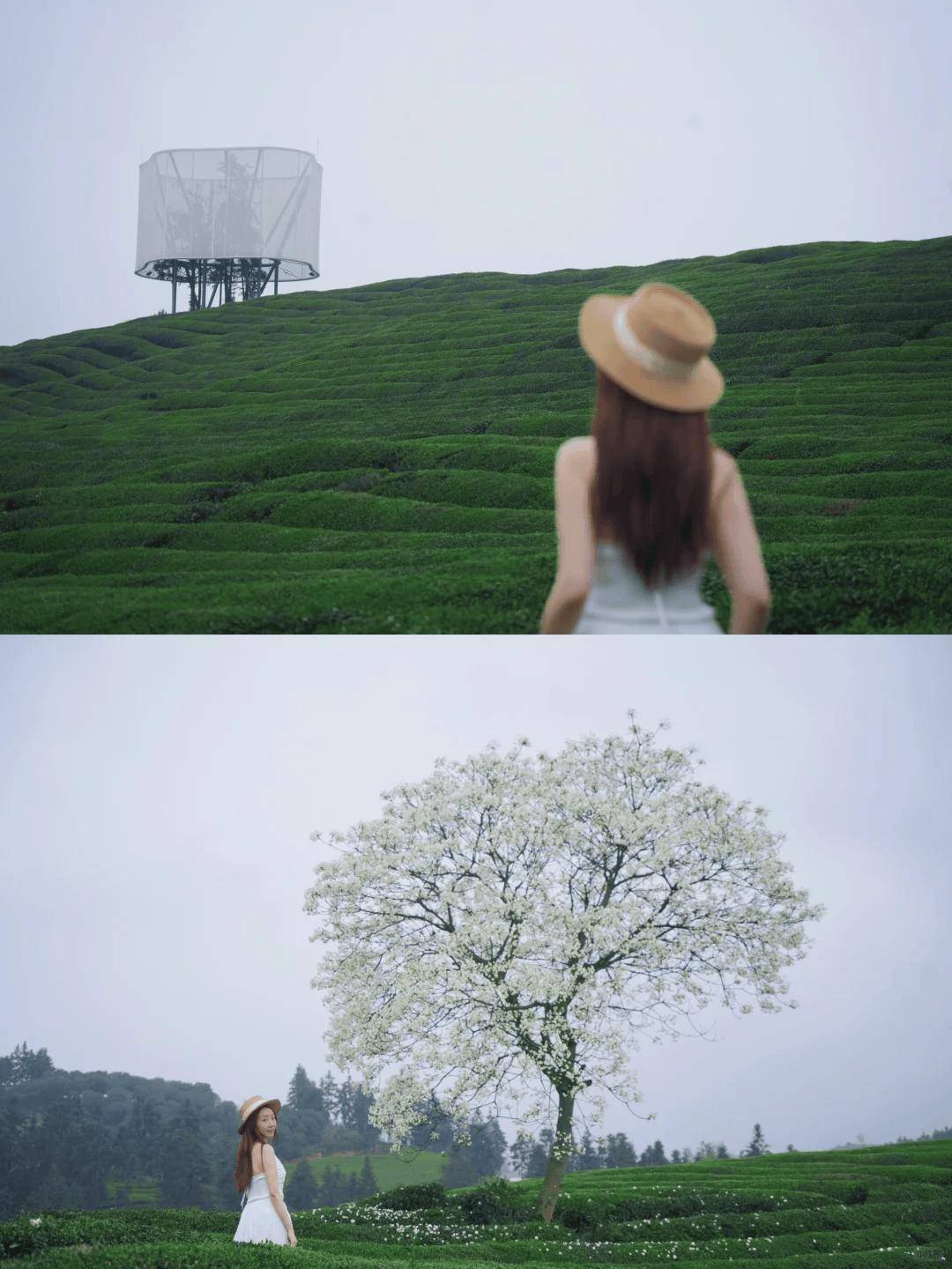 被预言是"下一个大理",这座便宜到哭的瓷都,不加