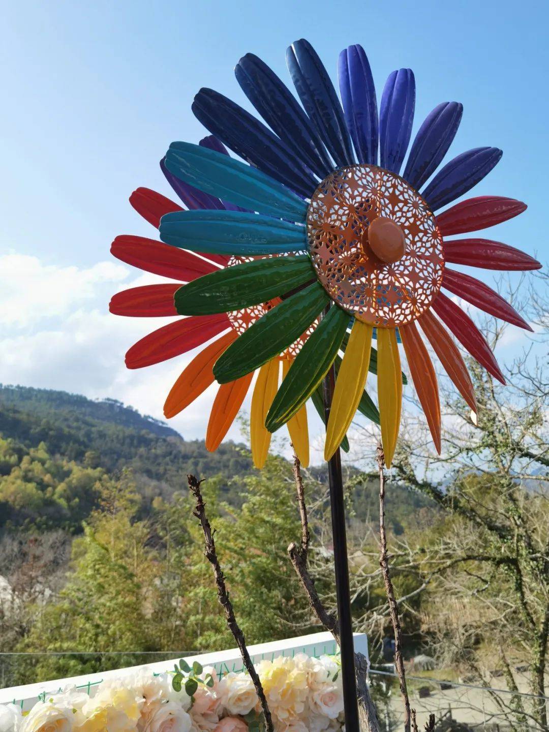 而那几个玩海洋球的娃儿,早就在草坪上无所拘束,欢呼雀跃了.