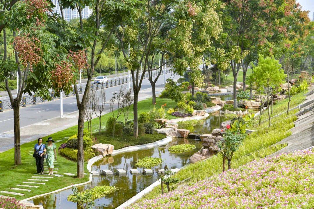 宜昌9个口袋公园获评全省"最美"_长江_枝江市_伍家岗区