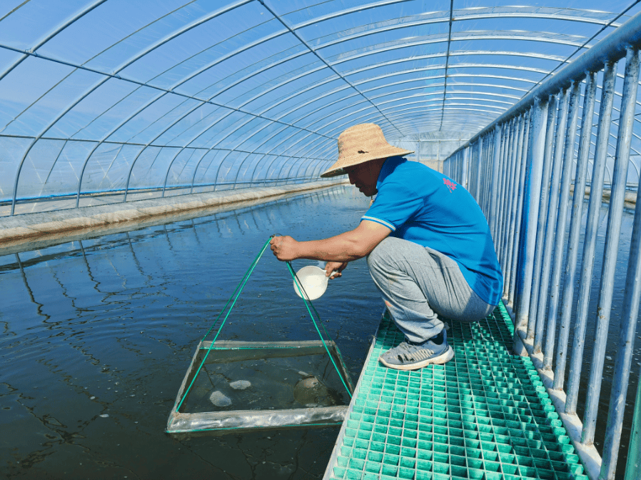 【乡村行 看振兴】临河镇二道沟村:旅游 特色养殖