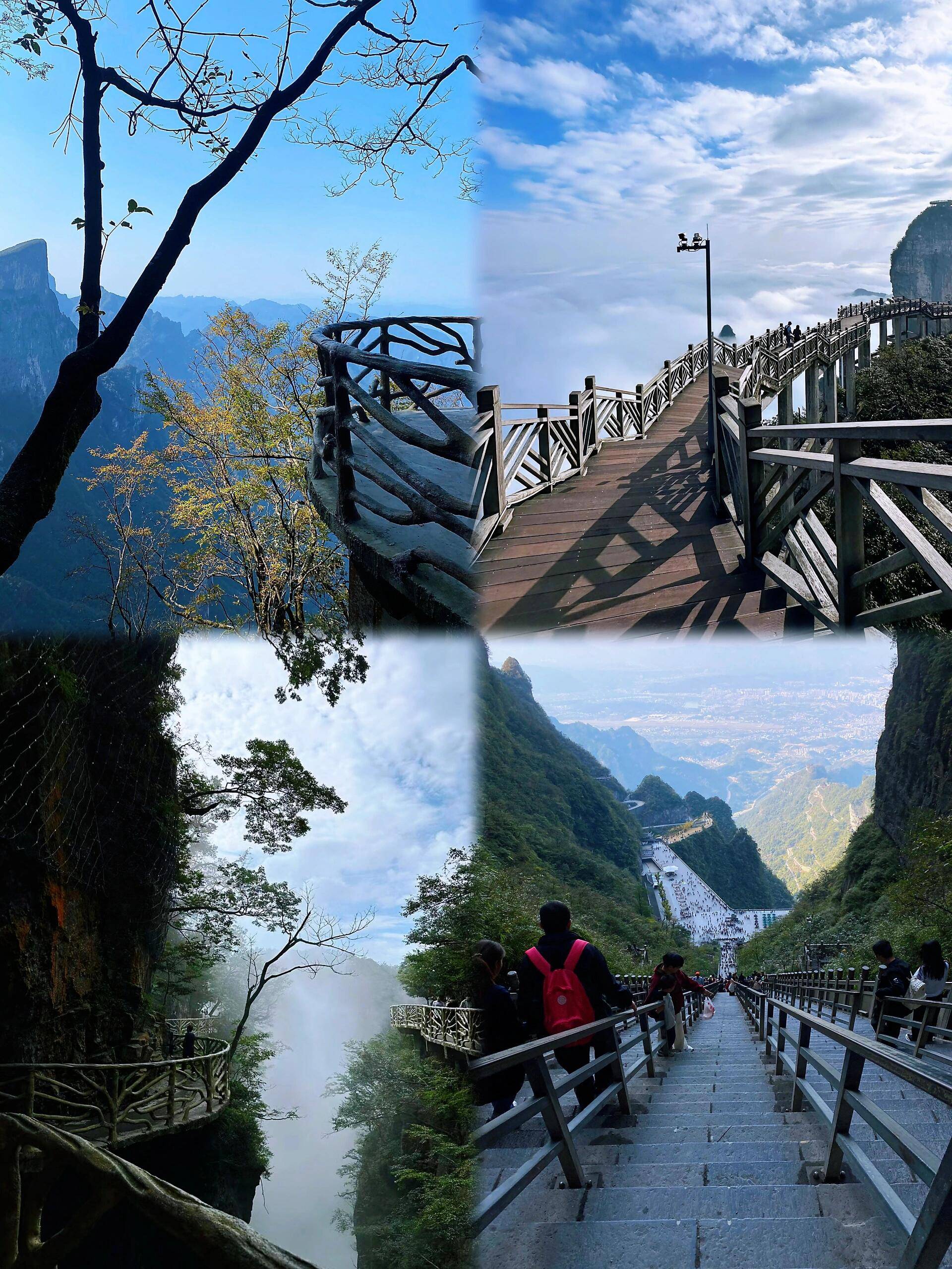 至张家界旅游团价格,费用多少 ,只需一千就能解决【景点 美食 酒店 交