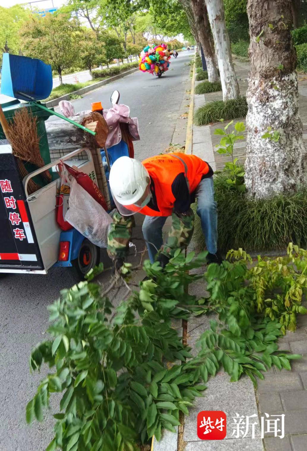 YY直播：2023澳门管家婆一码一肖精准-城市：中国唯一没有红绿灯的城市，不仅不堵车，还美的不可思议！  第2张