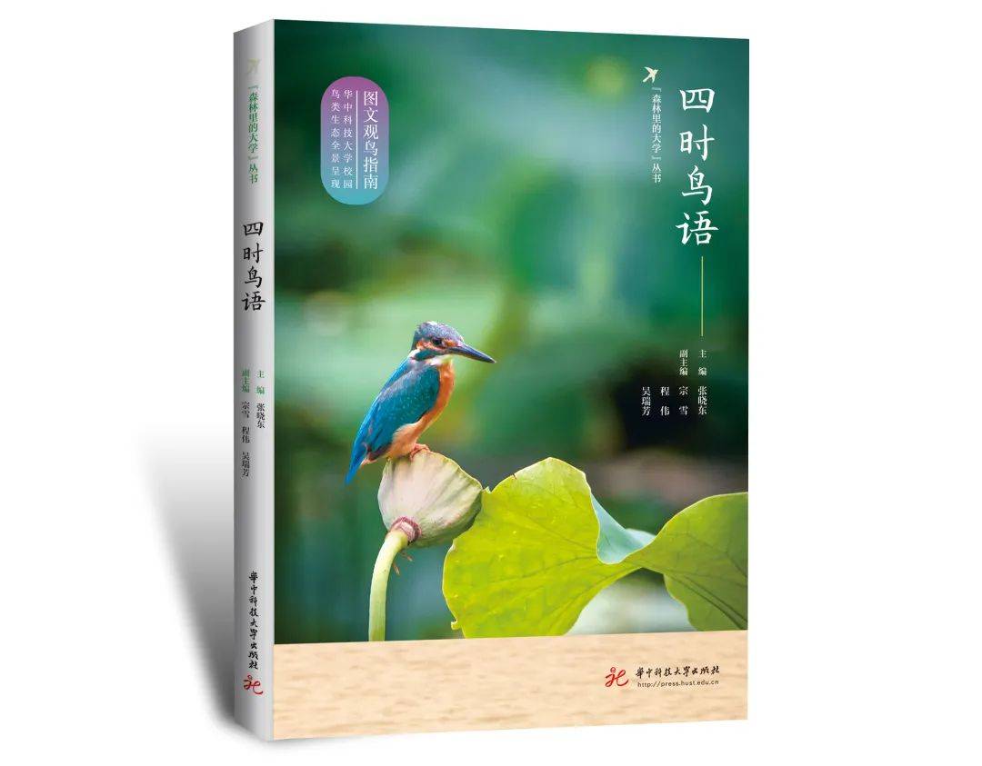 5月新书 | 五月是青,风之色