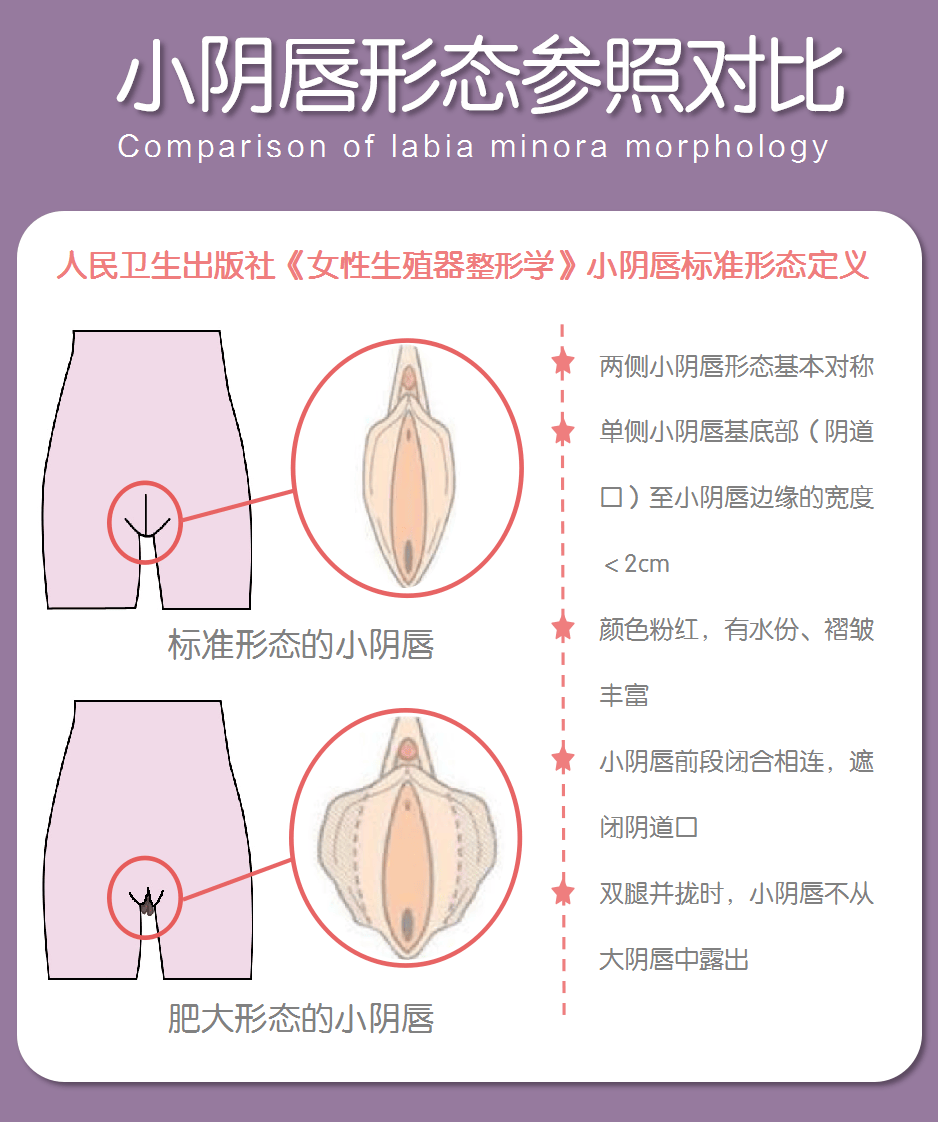 私密人体下面图片