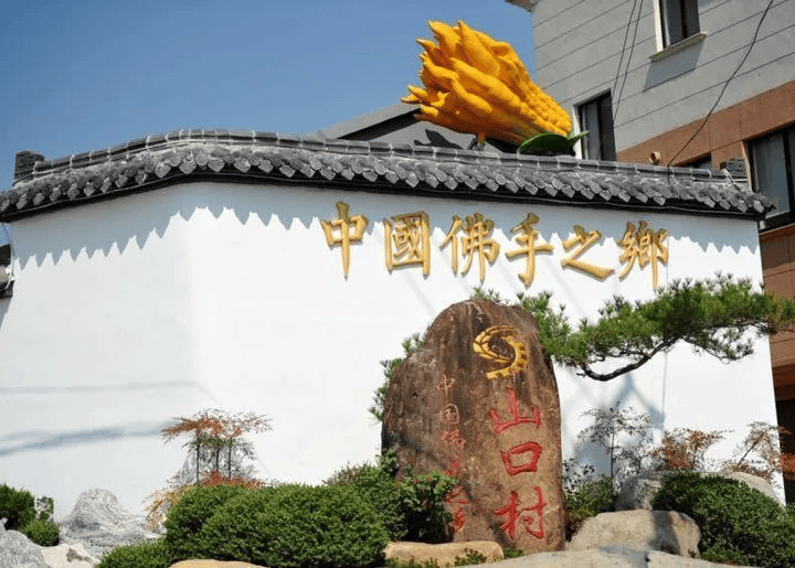 这份"电子榨菜",适用每一个金华人!