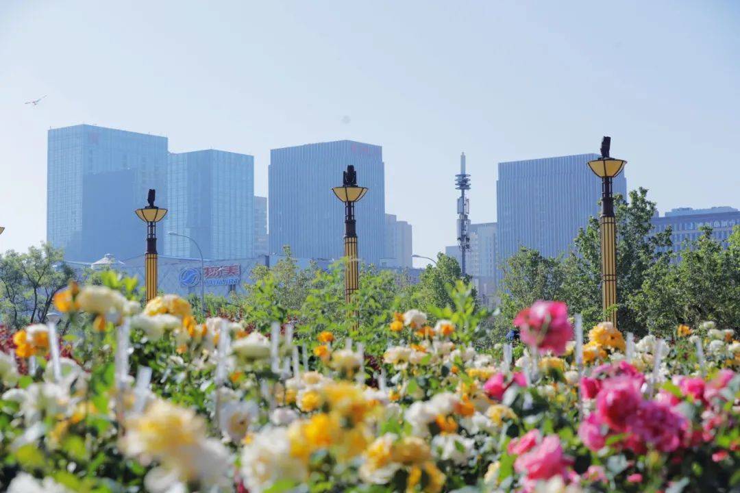 5月14日,伴着阵阵花香,市民在市区瑞丰公园内赏花拍照.
