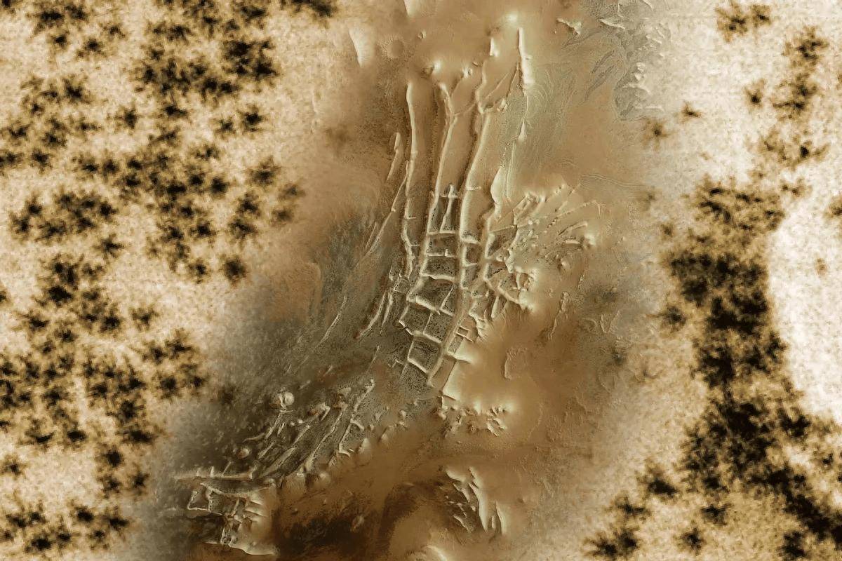 欧空局探测器在火星古城废墟中拍到数不清的蜘蛛!十分惊悚