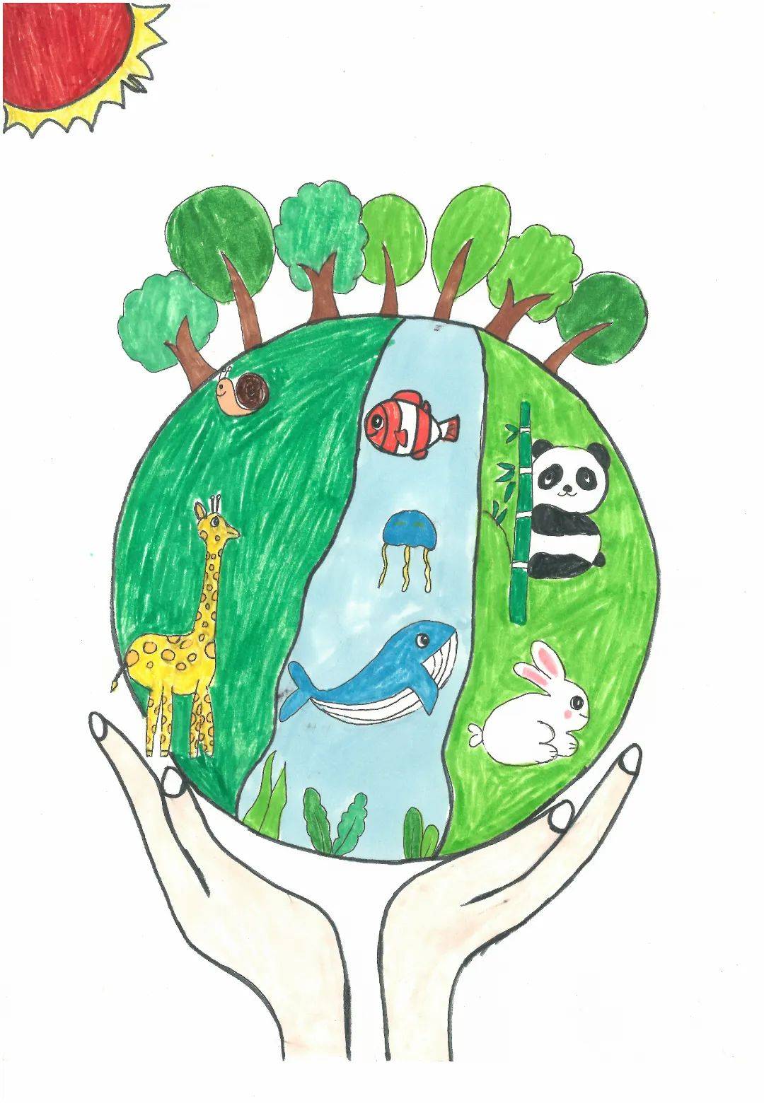 "多姿多彩的生物世界"⑭