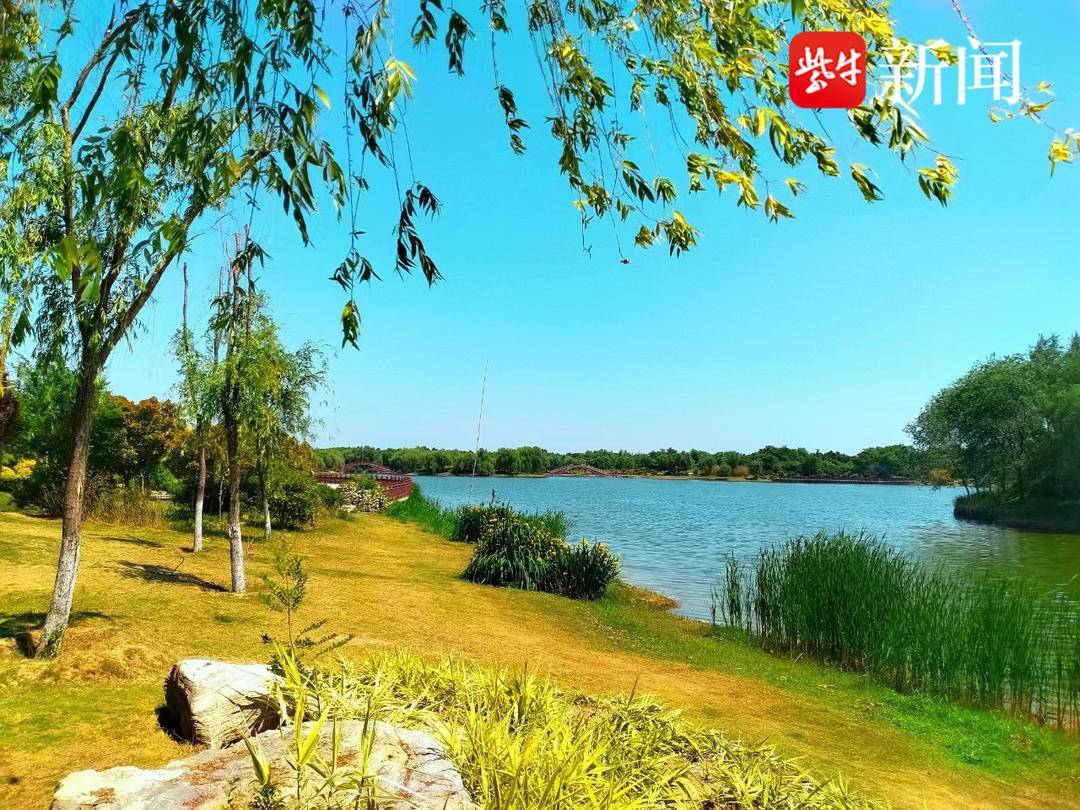 绿园叠翠 水润凤城徐州丰县着力打造美丽宜居之城