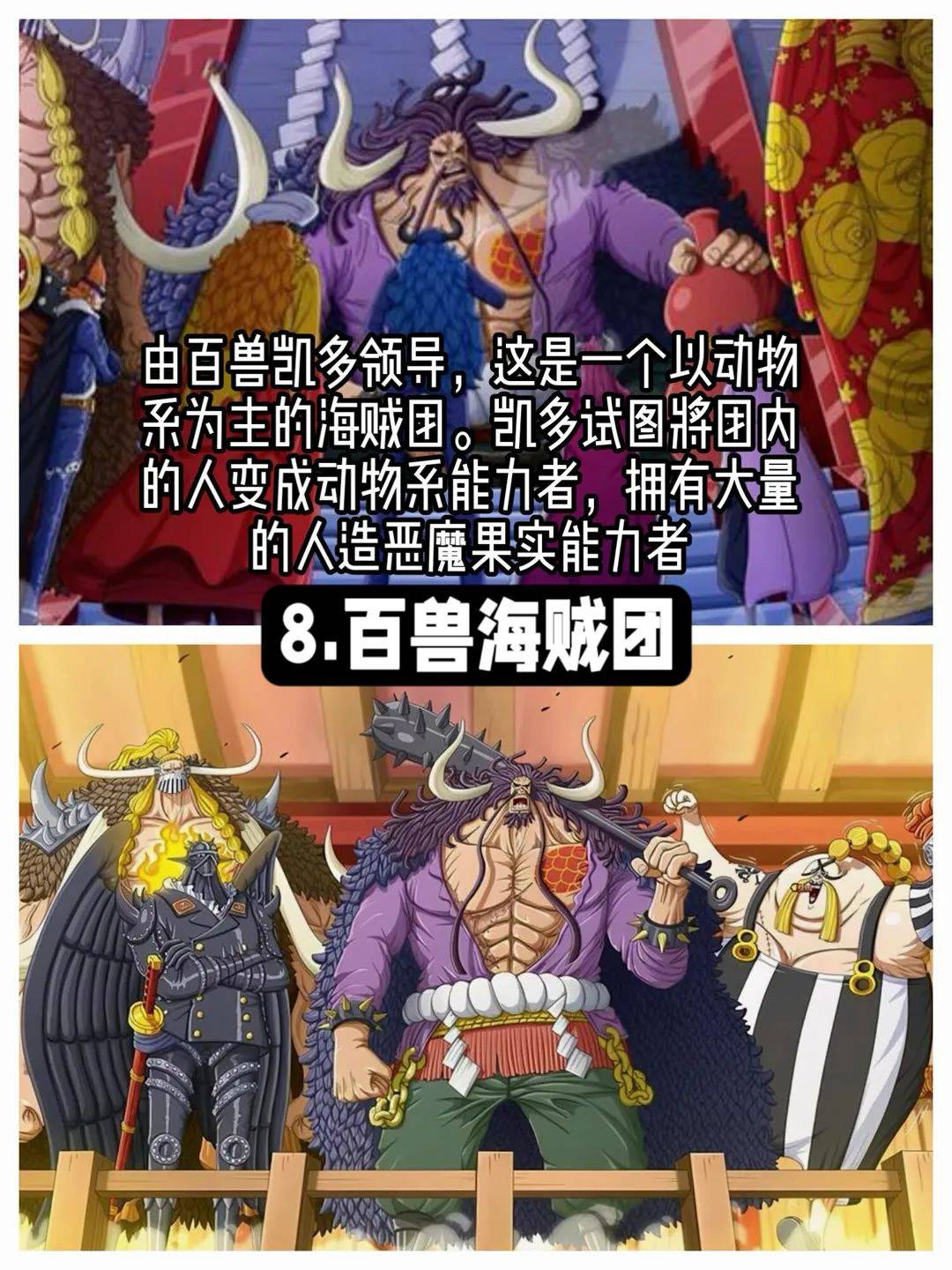 海贼王最强海贼团实力排名,罗杰海贼团只排到了第二名