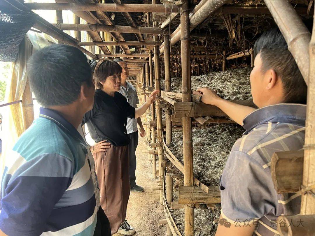 考察"取经"促振兴 —— 凤山镇组织人大代表考察学习特色产业发展