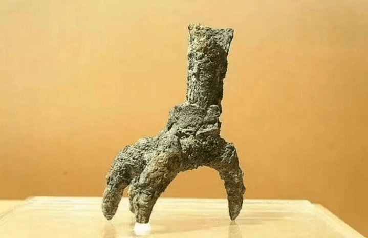 殷墟密码①一只俯瞰众生的大鸟_王朝_于成龙_后世