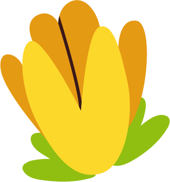 周末/端午周边游推荐!